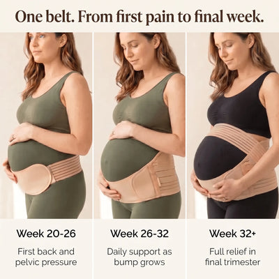 The Bump Lift Belt